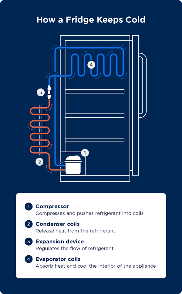 Fridge Compressor Hot - 5 Common Causes & Solutions